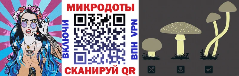 Псилоцибиновые грибы Psilocybe  Сибай 