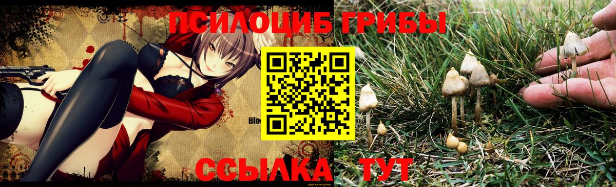 Галлюциногенные грибы прущие грибы  наркотики  Сибай 