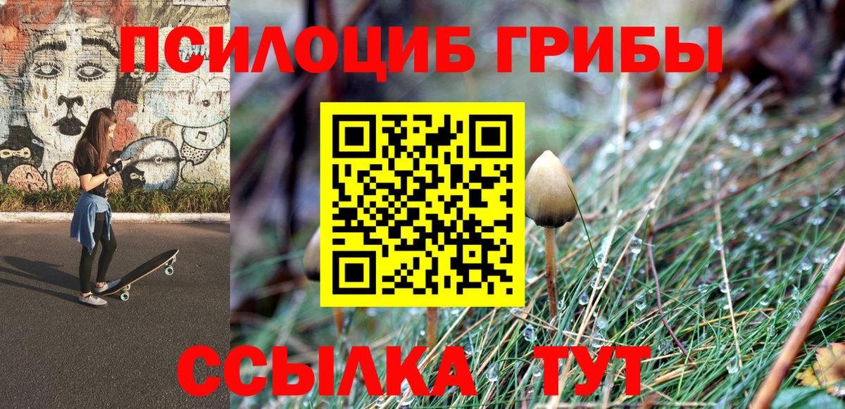 купить закладку  Псилоцибиновые грибы мухоморы  Сибай  Вход с VPN  Псилоцибиновые грибы мухоморы 